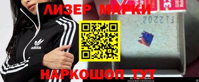 прущие грибы Кудымкар