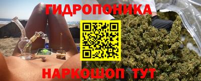 прущие грибы Кудымкар