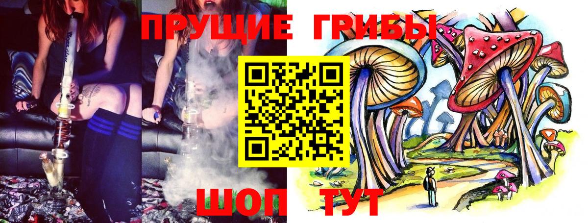 Гусев  Псилоцибиновые грибы прущие грибы  Вход с VPN 