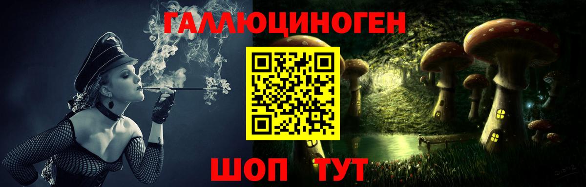 Галлюциногенные грибы Psilocybine cubensis Гусев